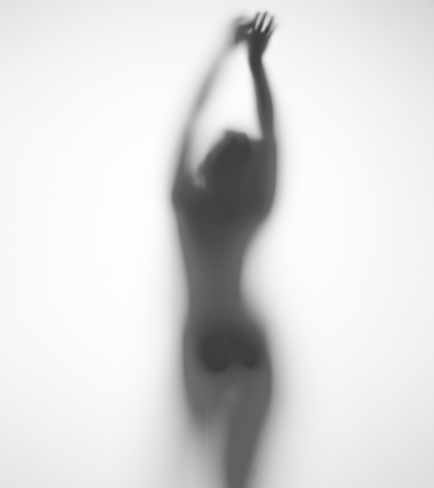 SHAPE ATELIER — Editorial Silhouette Presentation